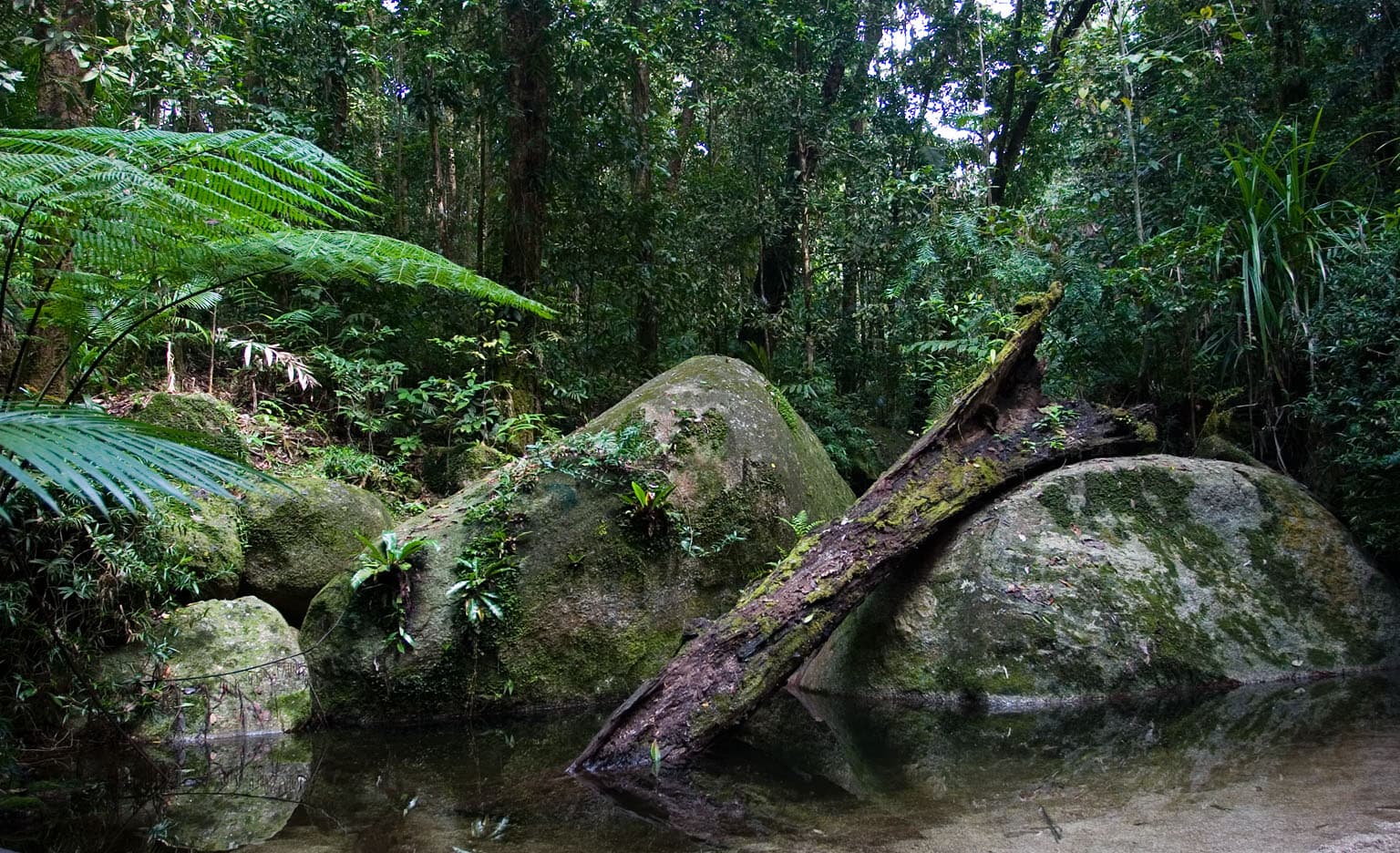 Daintree, Australia